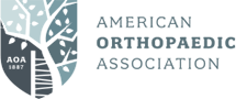 the American Orthopaedic Association